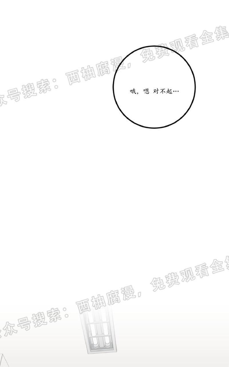 Bodycomplex/身体情结[耽美]韩漫全集-第20话无删减无遮挡章节图片 