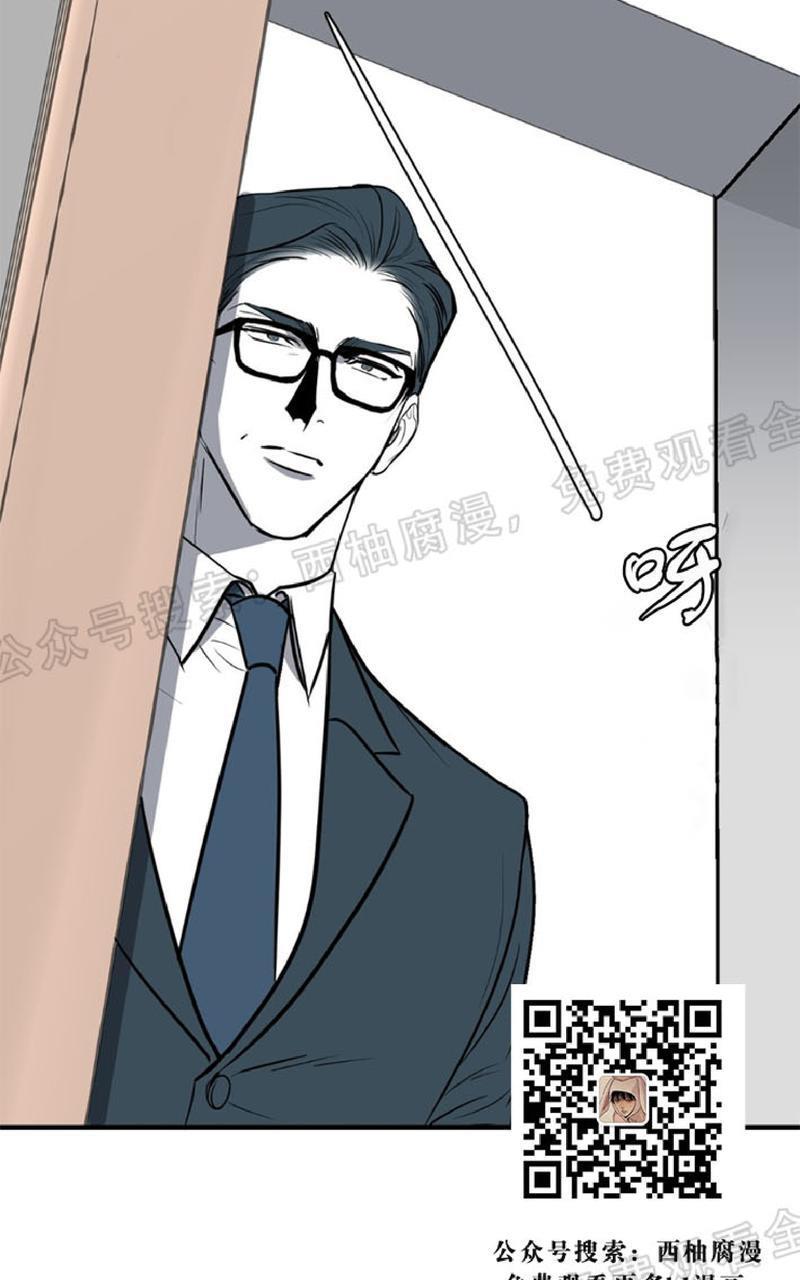 Bodycomplex/身体情结[耽美]韩漫全集-第20话无删减无遮挡章节图片 
