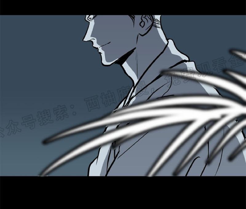 Bodycomplex/身体情结[耽美]韩漫全集-第20话无删减无遮挡章节图片 