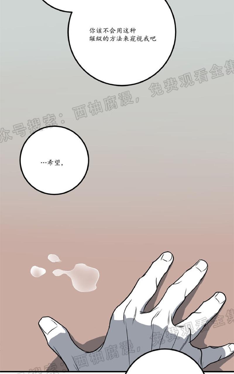 Bodycomplex/身体情结[耽美]韩漫全集-第20话无删减无遮挡章节图片 