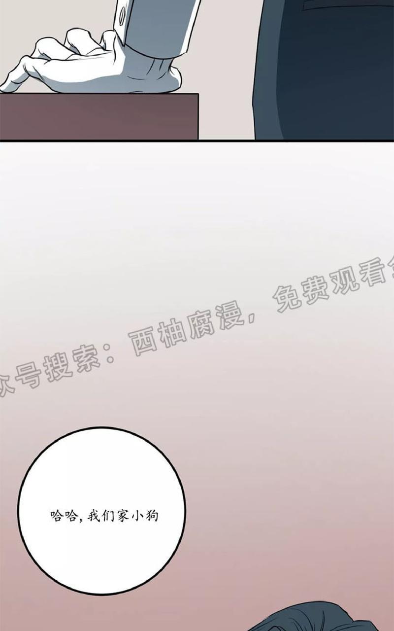 Bodycomplex/身体情结[耽美]韩漫全集-第21话无删减无遮挡章节图片 