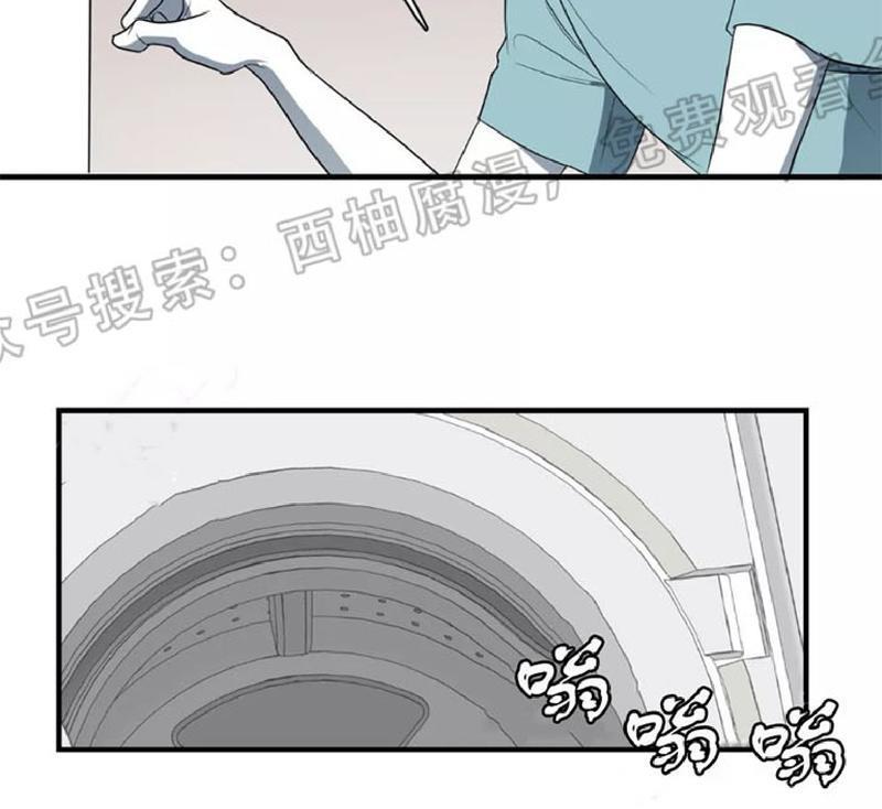 Bodycomplex/身体情结[耽美]韩漫全集-第21话无删减无遮挡章节图片 