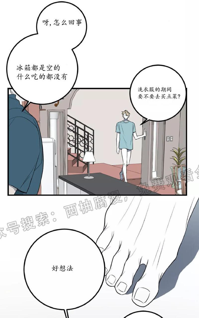 Bodycomplex/身体情结[耽美]韩漫全集-第21话无删减无遮挡章节图片 