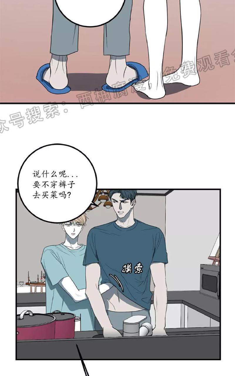 Bodycomplex/身体情结[耽美]韩漫全集-第21话无删减无遮挡章节图片 