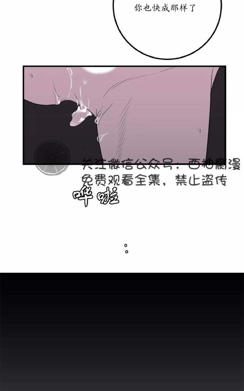 Bodycomplex/身体情结[耽美]韩漫全集-第22话无删减无遮挡章节图片 