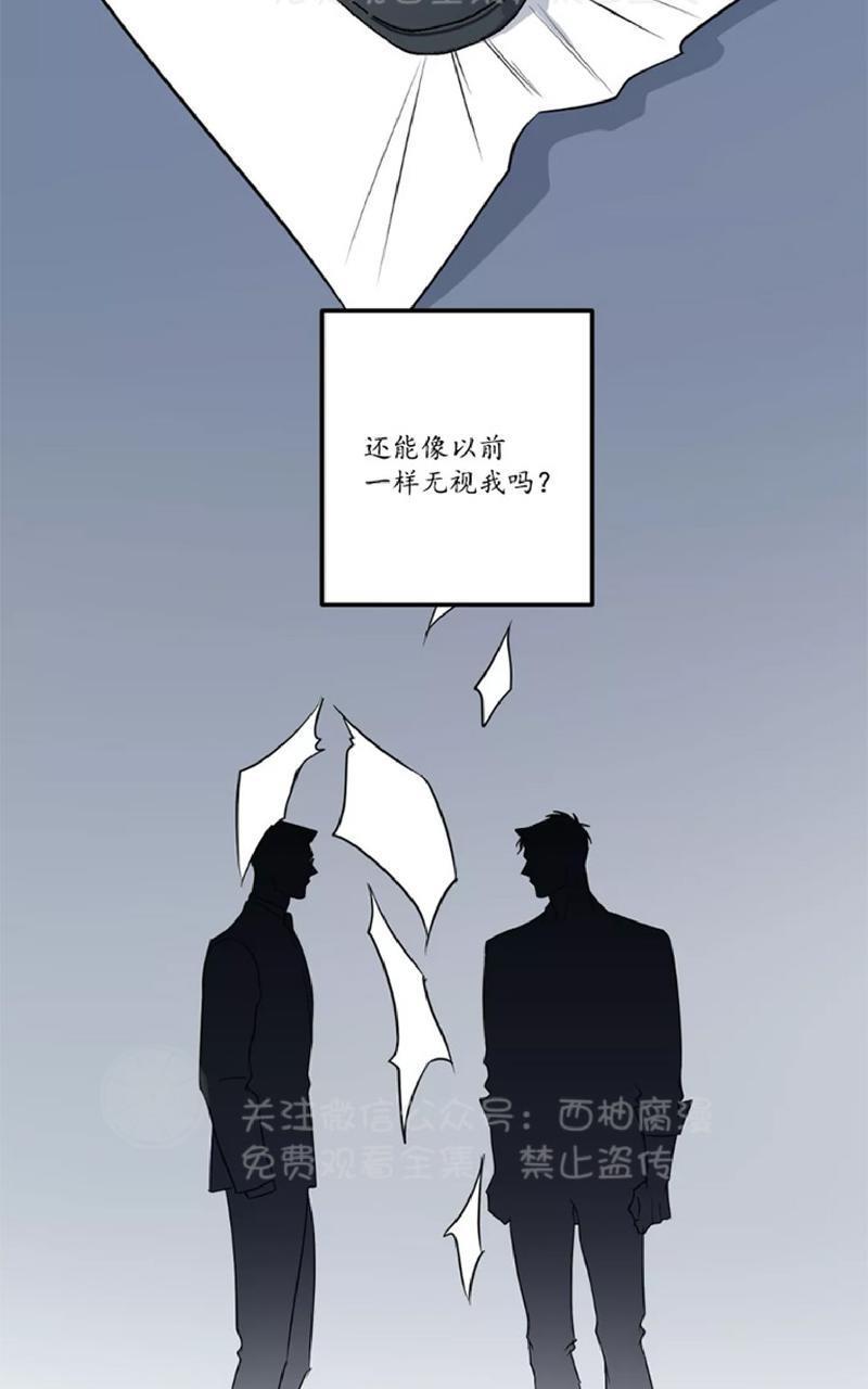 Bodycomplex/身体情结[耽美]韩漫全集-第24话无删减无遮挡章节图片 