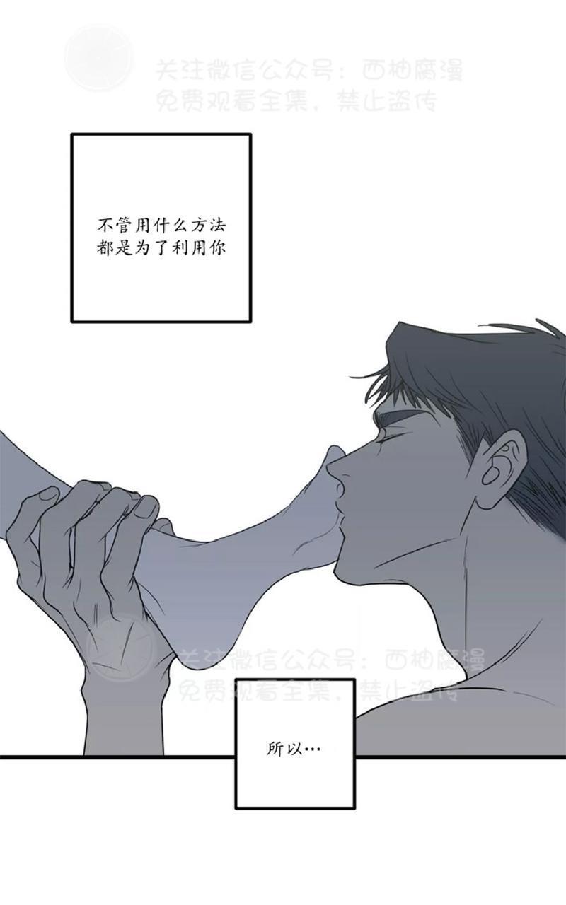 Bodycomplex/身体情结[耽美]韩漫全集-第24话无删减无遮挡章节图片 