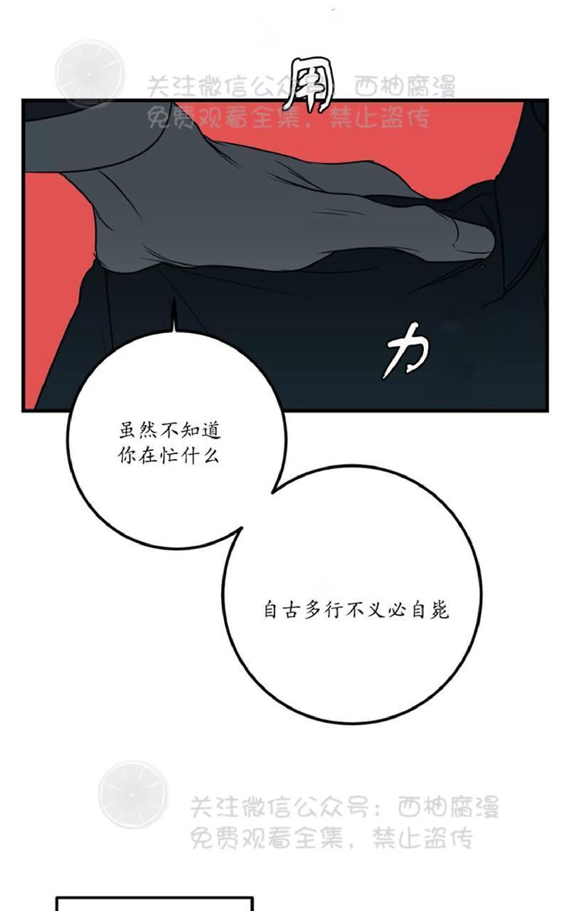 Bodycomplex/身体情结[耽美]韩漫全集-第25话无删减无遮挡章节图片 