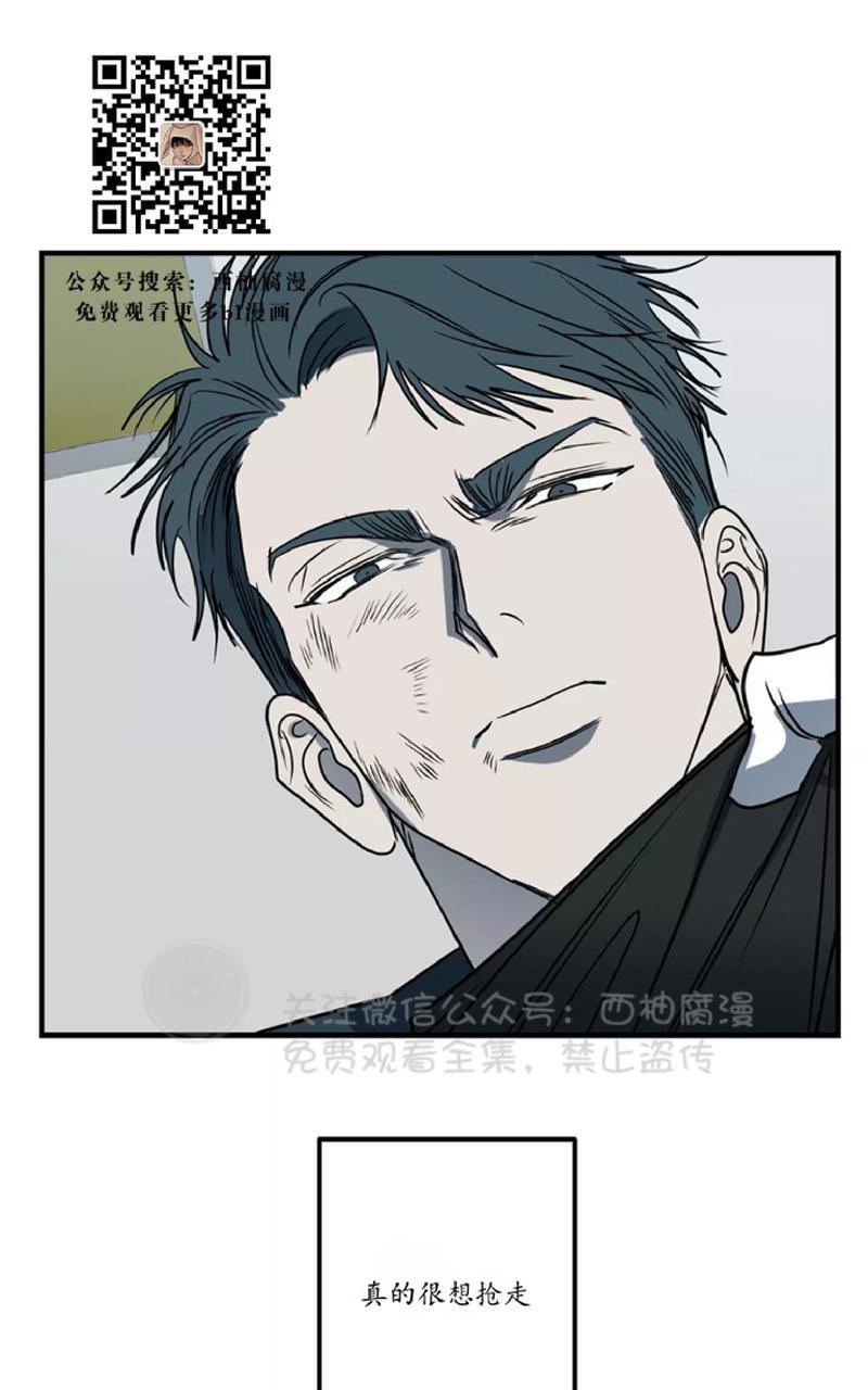 Bodycomplex/身体情结[耽美]韩漫全集-第25话无删减无遮挡章节图片 