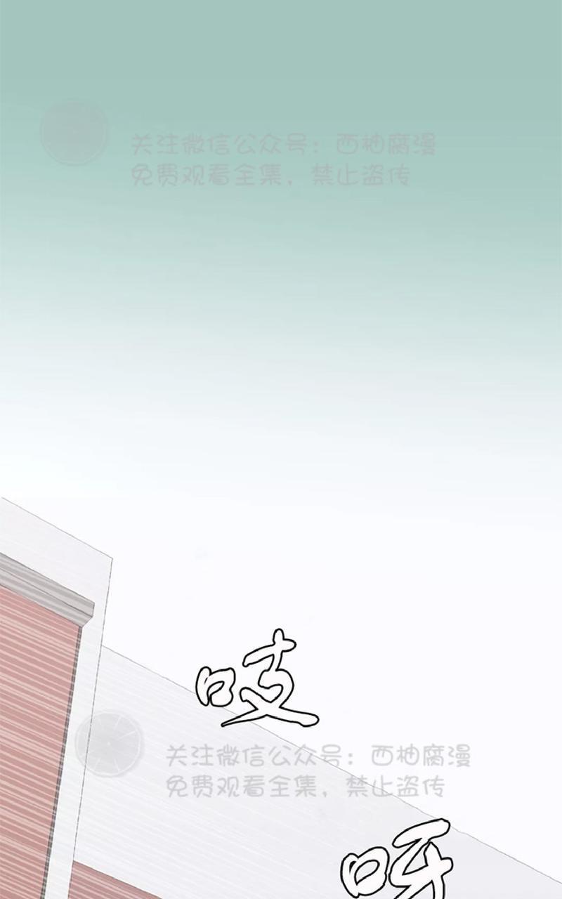 Bodycomplex/身体情结[耽美]韩漫全集-第25话无删减无遮挡章节图片 