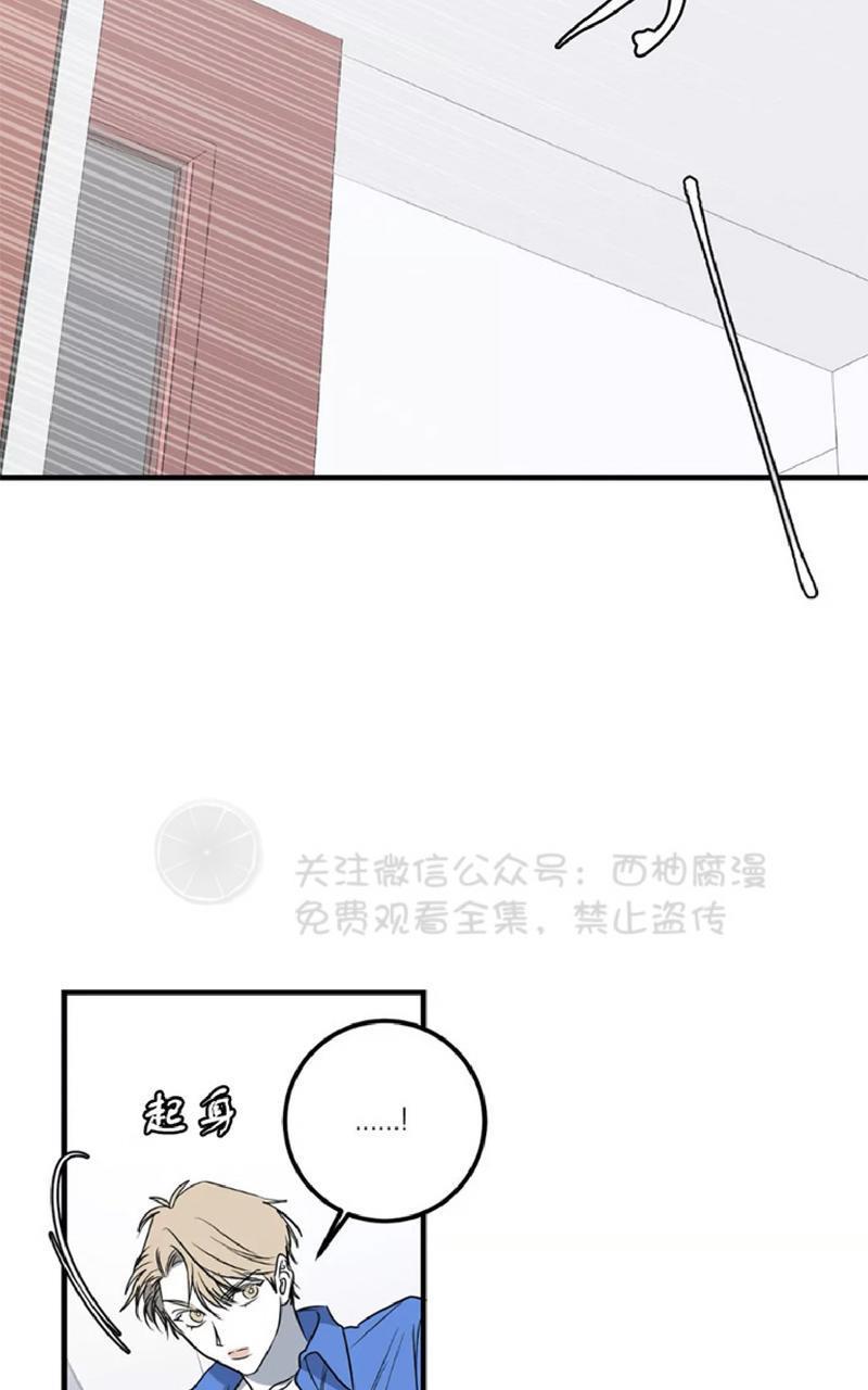 Bodycomplex/身体情结[耽美]韩漫全集-第25话无删减无遮挡章节图片 