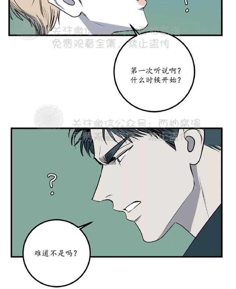 Bodycomplex/身体情结[耽美]韩漫全集-第25话无删减无遮挡章节图片 