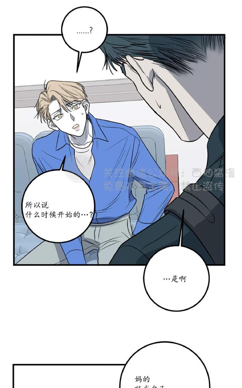 Bodycomplex/身体情结[耽美]韩漫全集-第25话无删减无遮挡章节图片 
