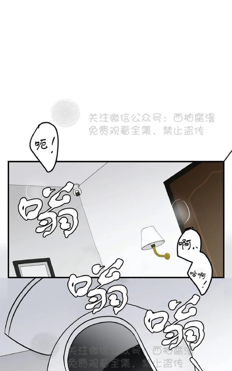 Bodycomplex/身体情结[耽美]韩漫全集-第26话无删减无遮挡章节图片 