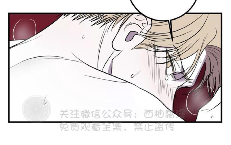 Bodycomplex/身体情结[耽美]韩漫全集-第26话无删减无遮挡章节图片 