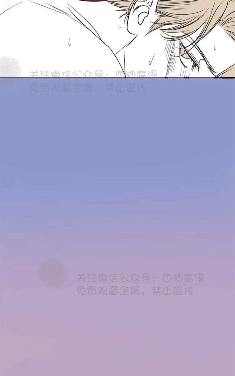 Bodycomplex/身体情结[耽美]韩漫全集-第26话无删减无遮挡章节图片 