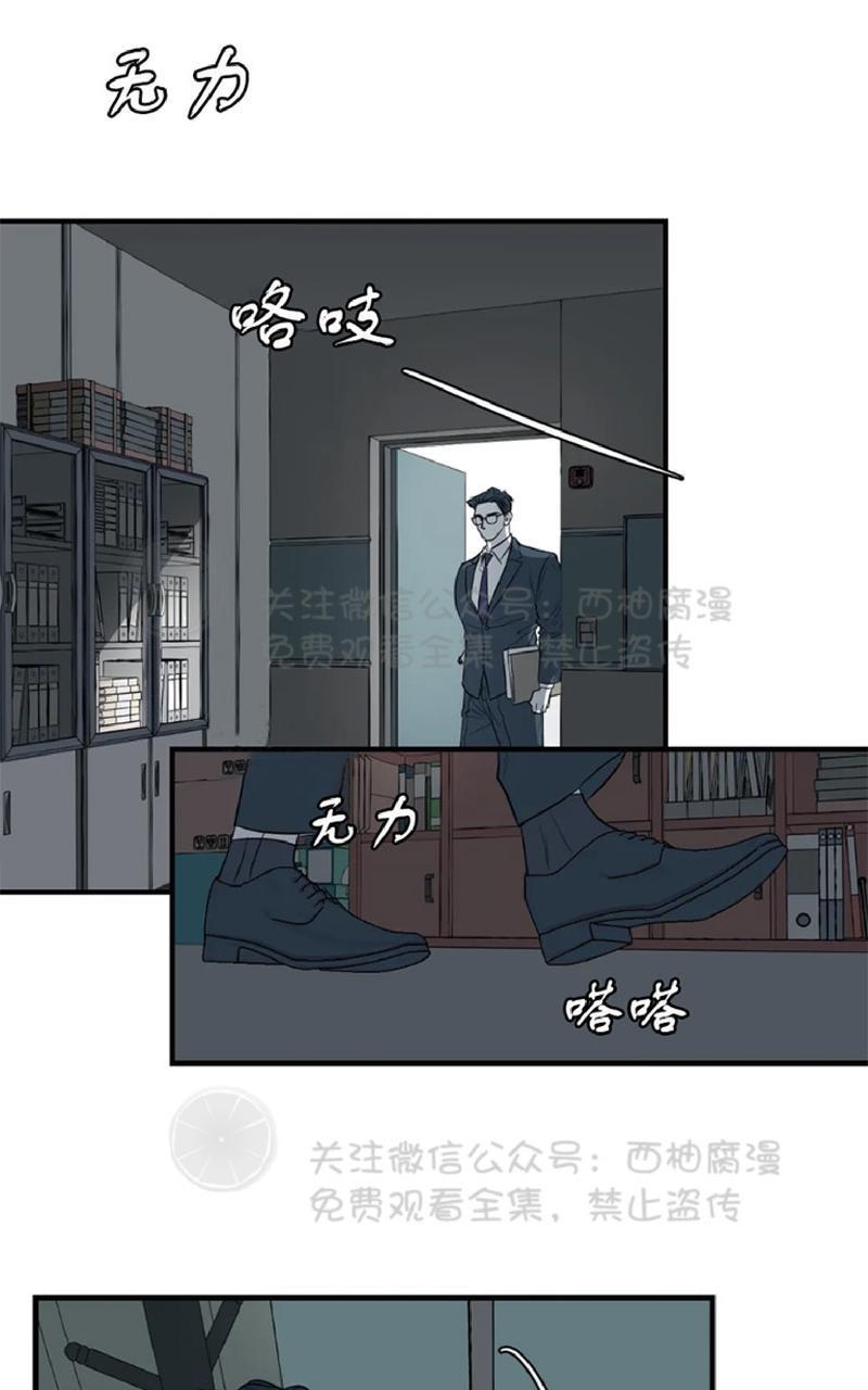 Bodycomplex/身体情结[耽美]韩漫全集-第26话无删减无遮挡章节图片 