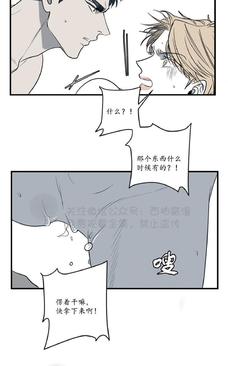 Bodycomplex/身体情结[耽美]韩漫全集-第26话无删减无遮挡章节图片 