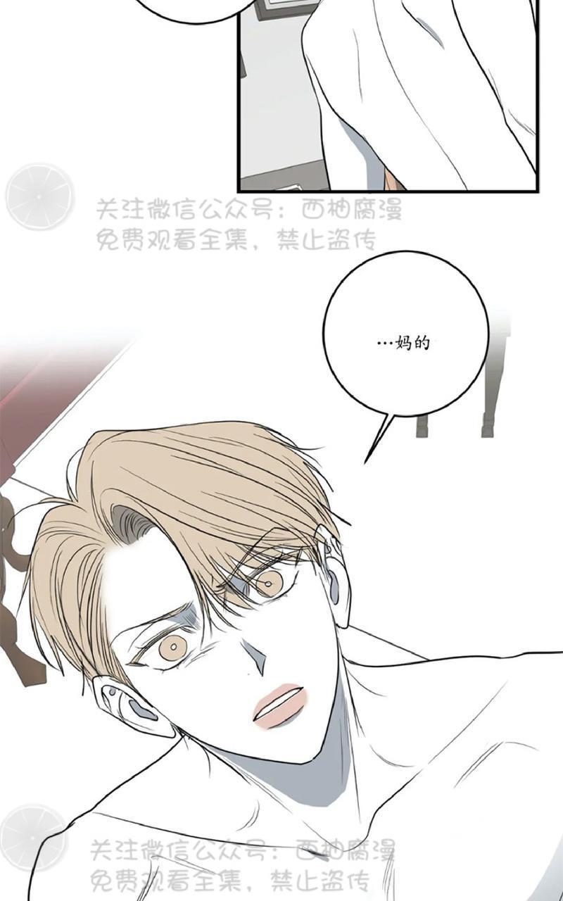 Bodycomplex/身体情结[耽美]韩漫全集-第26话无删减无遮挡章节图片 