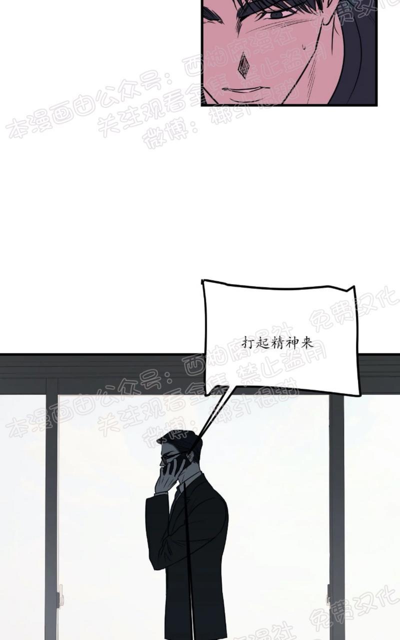 Bodycomplex/身体情结[耽美]韩漫全集-第31话无删减无遮挡章节图片 