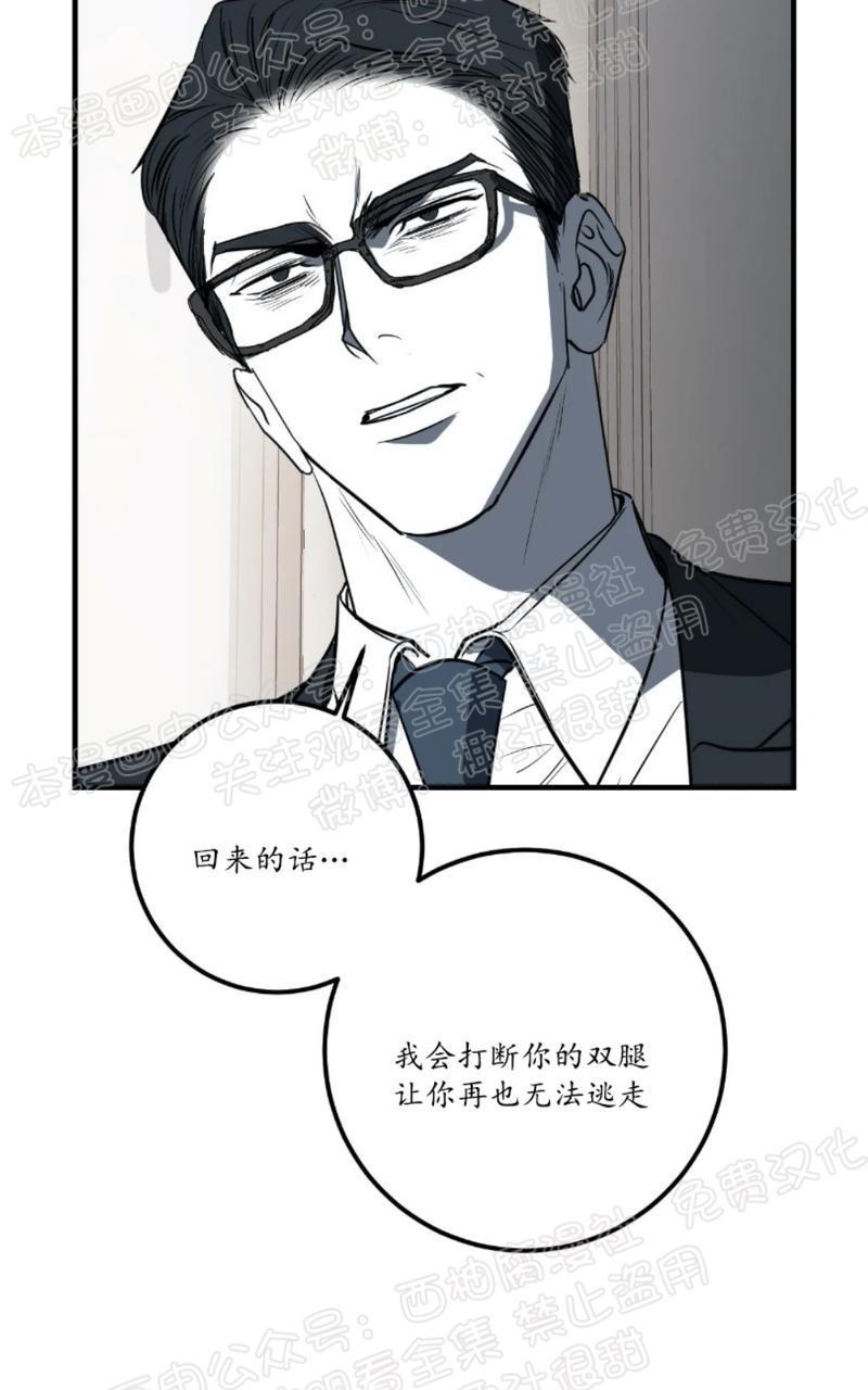 Bodycomplex/身体情结[耽美]韩漫全集-第31话无删减无遮挡章节图片 