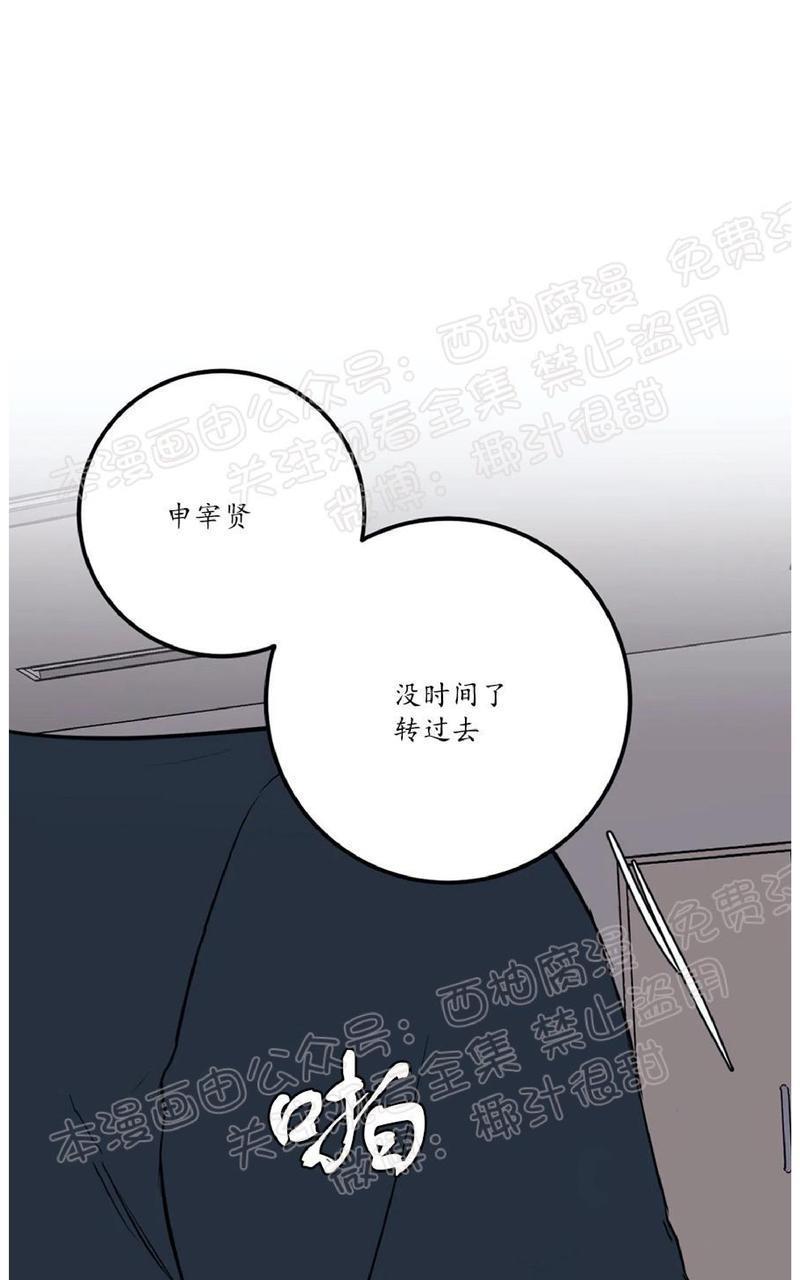 Bodycomplex/身体情结[耽美]韩漫全集-第33话无删减无遮挡章节图片 