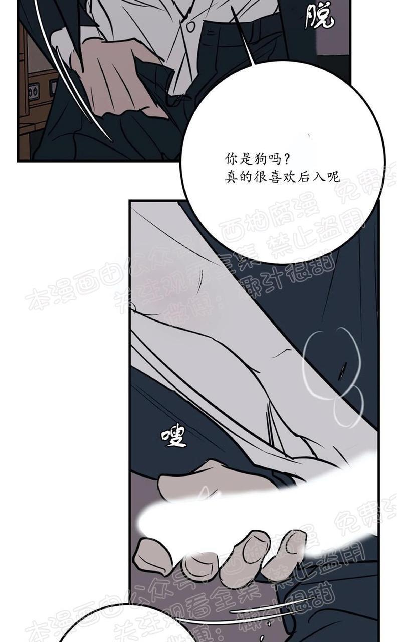 Bodycomplex/身体情结[耽美]韩漫全集-第33话无删减无遮挡章节图片 