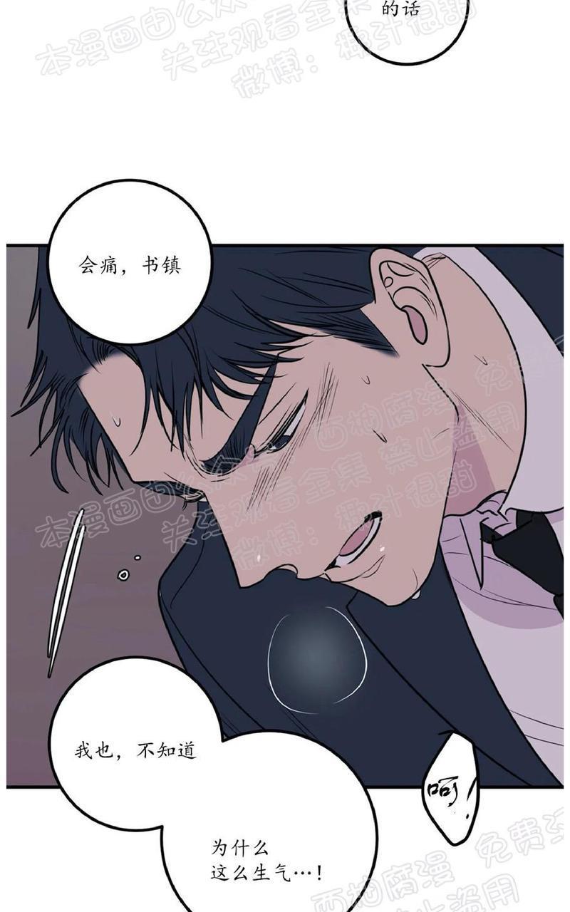Bodycomplex/身体情结[耽美]韩漫全集-第33话无删减无遮挡章节图片 