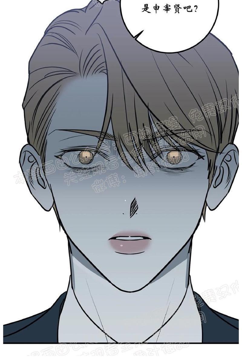 Bodycomplex/身体情结[耽美]韩漫全集-第34话无删减无遮挡章节图片 