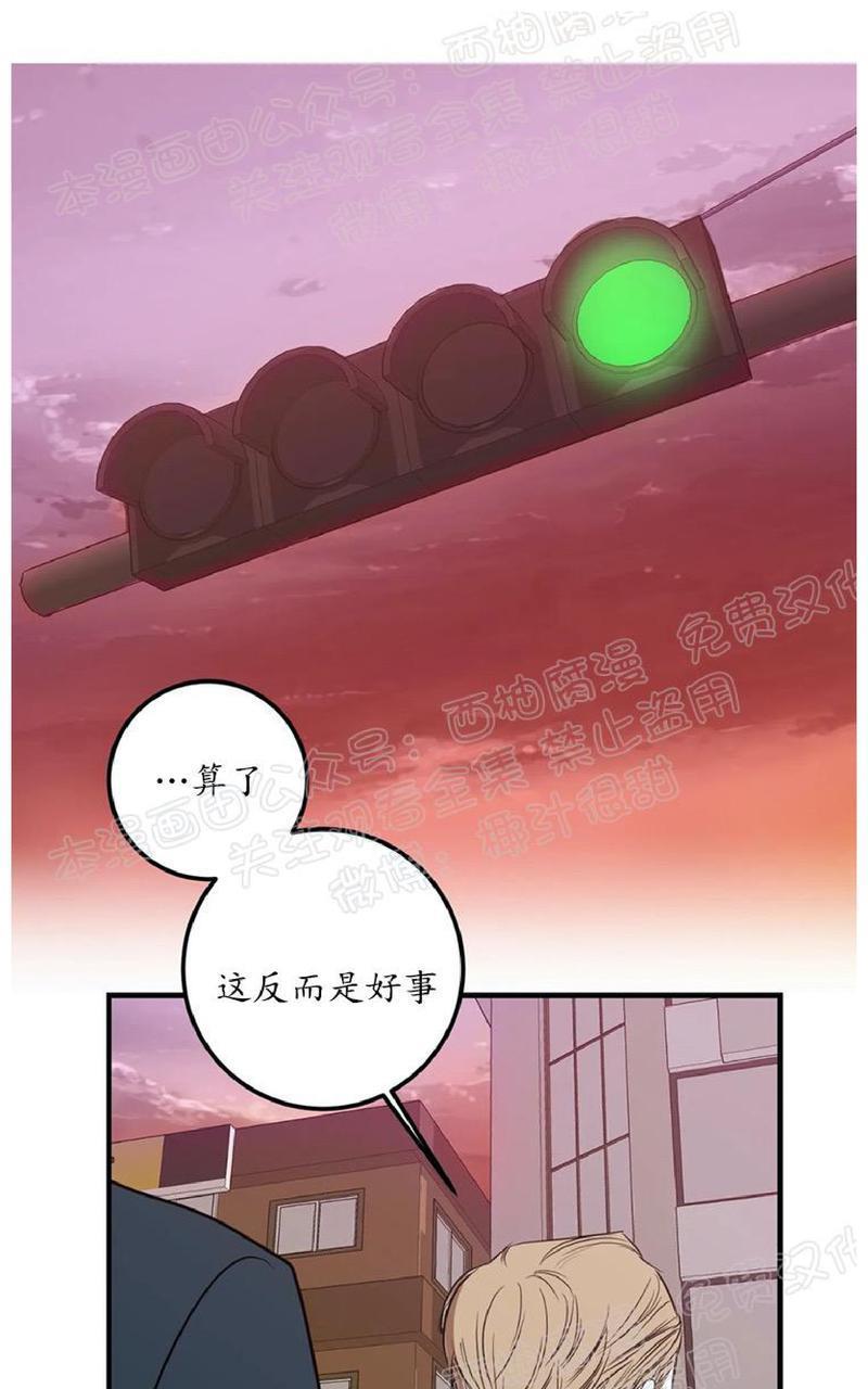 Bodycomplex/身体情结[耽美]韩漫全集-第34话无删减无遮挡章节图片 