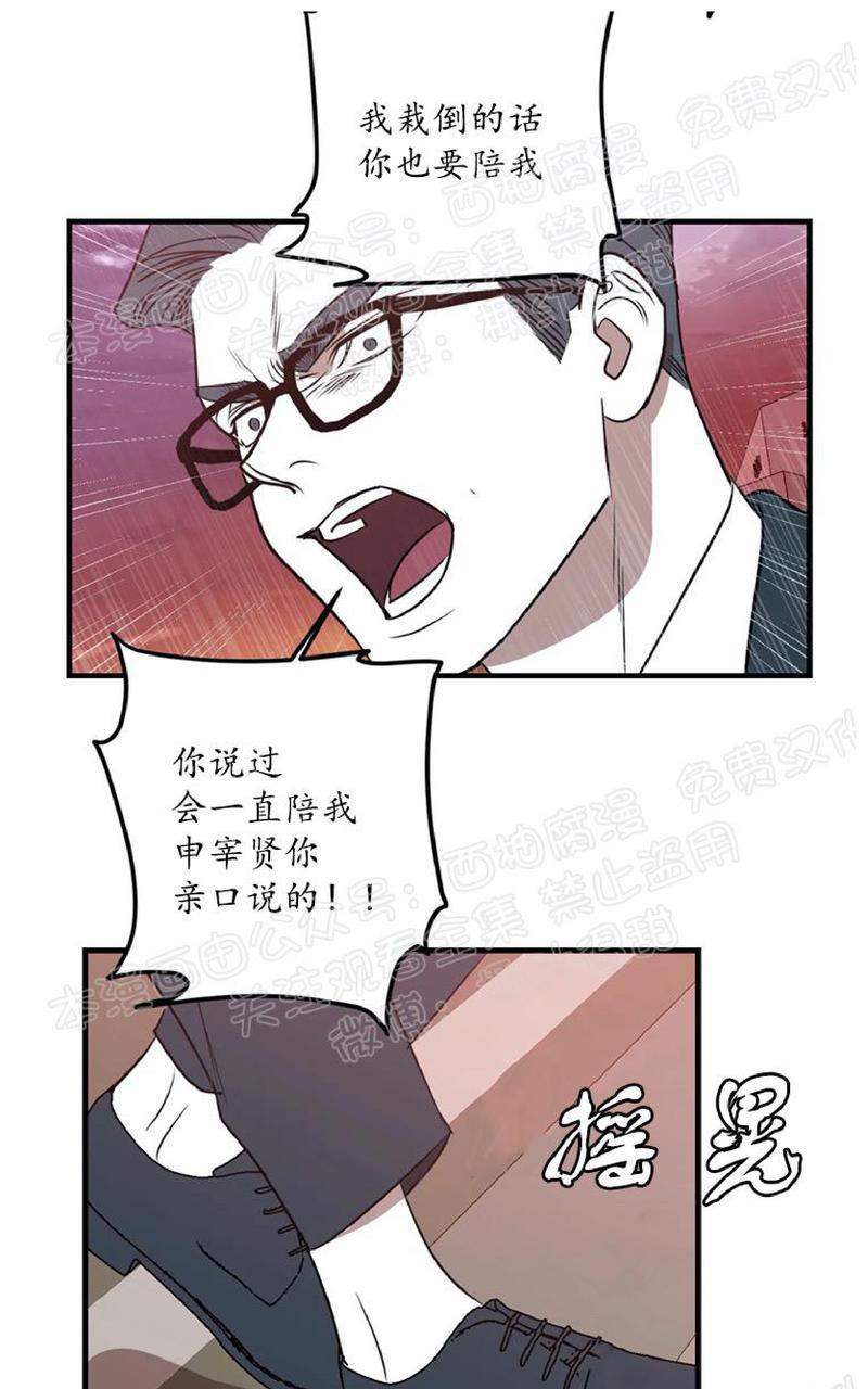 Bodycomplex/身体情结[耽美]韩漫全集-第34话无删减无遮挡章节图片 