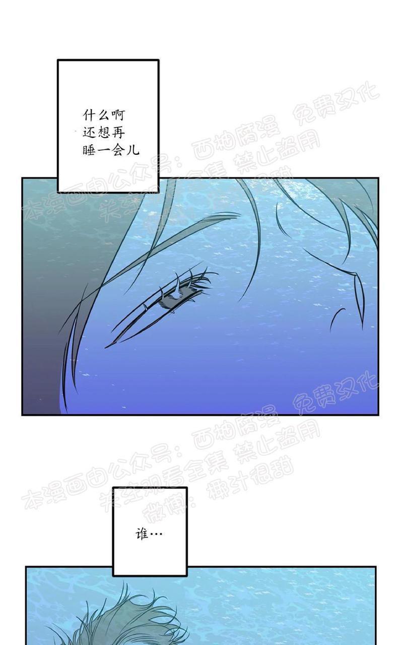 Bodycomplex/身体情结[耽美]韩漫全集-第35话无删减无遮挡章节图片 