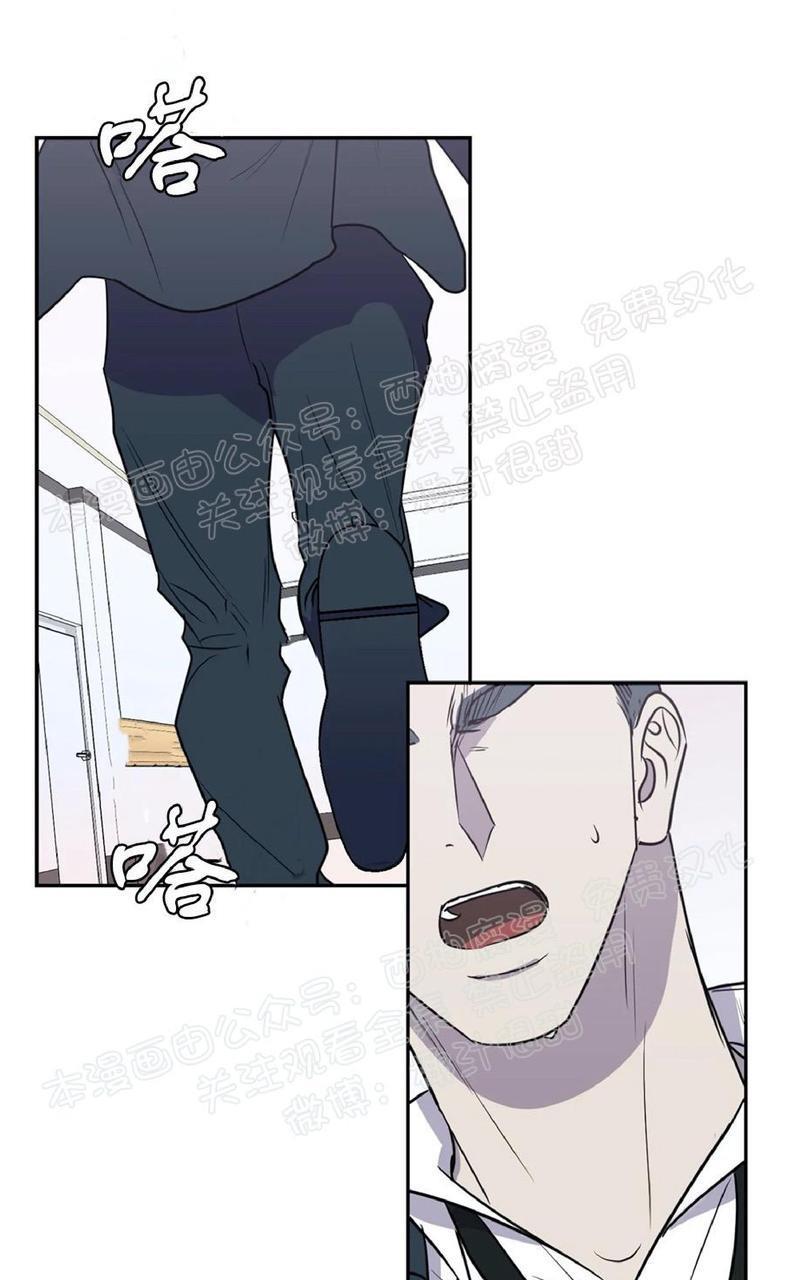 Bodycomplex/身体情结[耽美]韩漫全集-第35话无删减无遮挡章节图片 