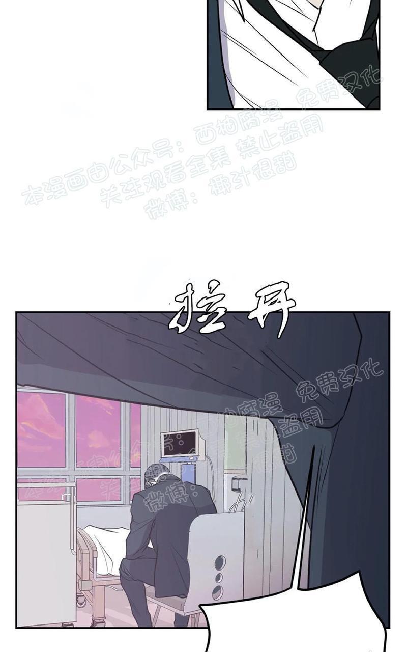Bodycomplex/身体情结[耽美]韩漫全集-第35话无删减无遮挡章节图片 
