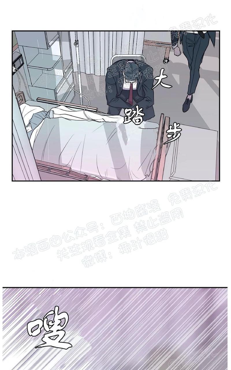 Bodycomplex/身体情结[耽美]韩漫全集-第35话无删减无遮挡章节图片 