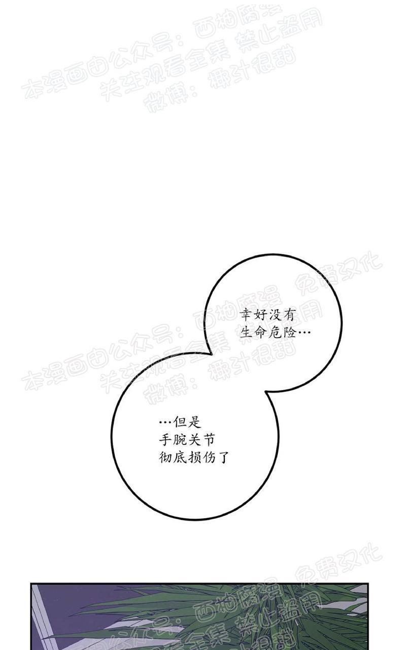Bodycomplex/身体情结[耽美]韩漫全集-第35话无删减无遮挡章节图片 