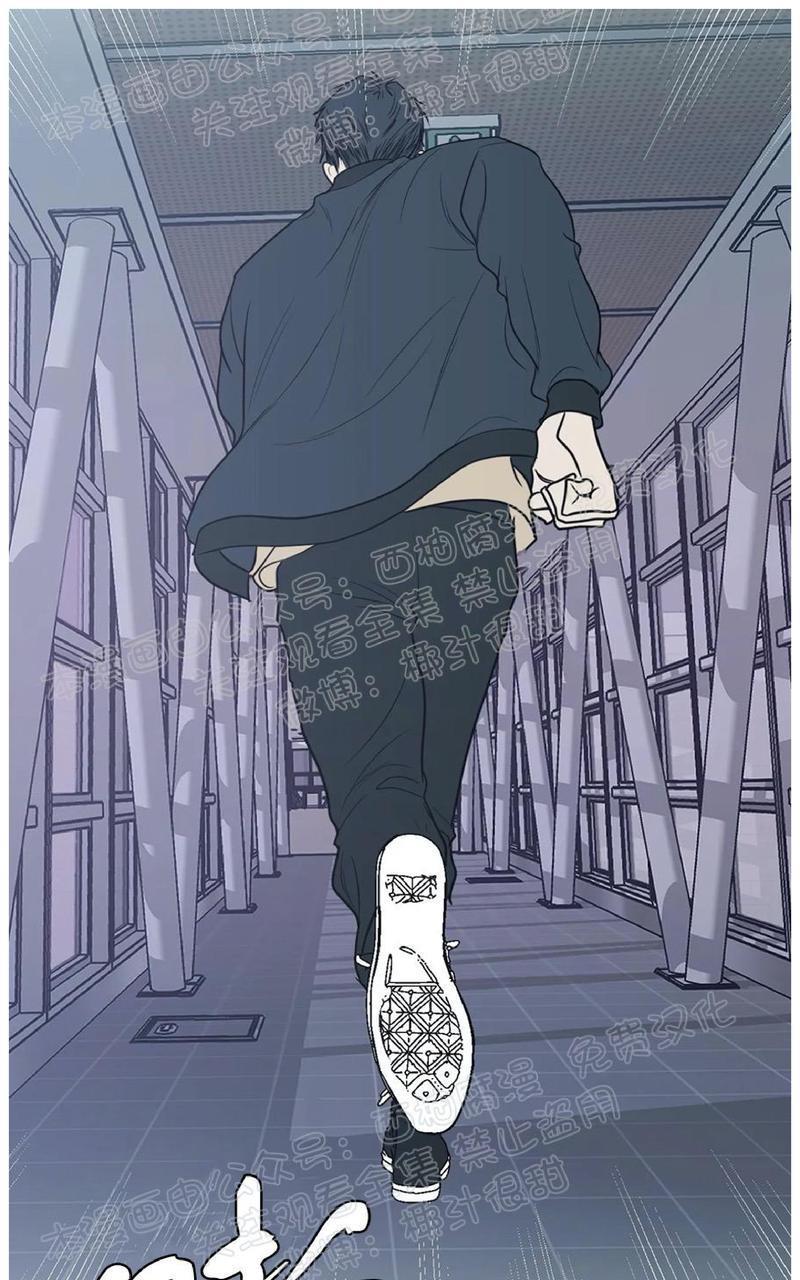Bodycomplex/身体情结[耽美]韩漫全集-第36话无删减无遮挡章节图片 