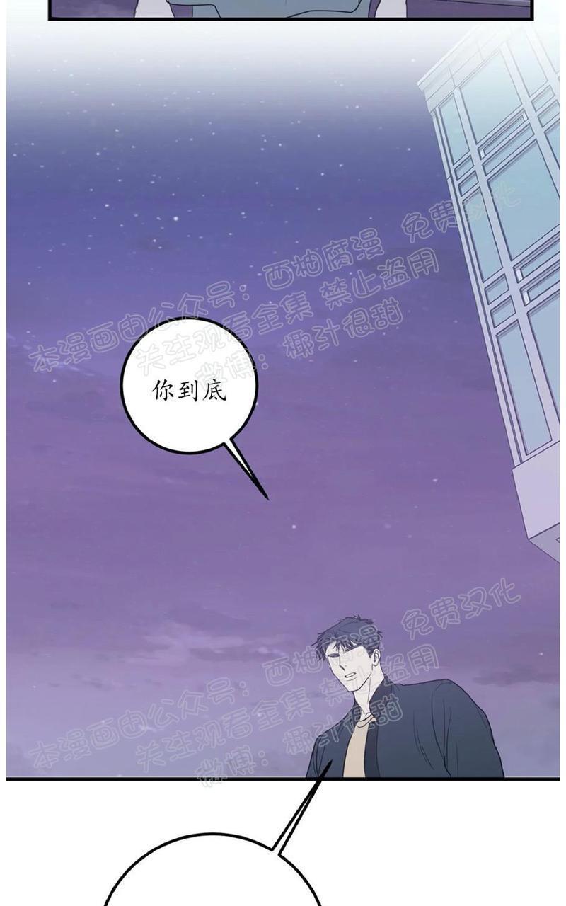 Bodycomplex/身体情结[耽美]韩漫全集-第36话无删减无遮挡章节图片 