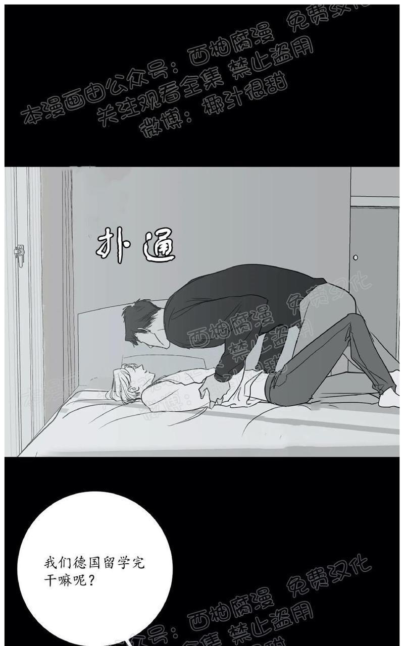 Bodycomplex/身体情结[耽美]韩漫全集-第36话无删减无遮挡章节图片 