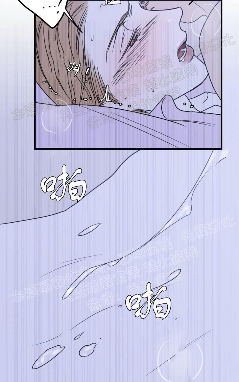 Bodycomplex/身体情结[耽美]韩漫全集-第38话完结无删减无遮挡章节图片 