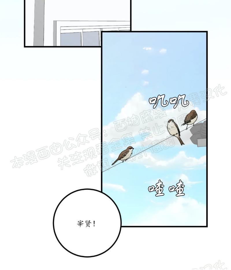 Bodycomplex/身体情结[耽美]韩漫全集-第38话完结无删减无遮挡章节图片 