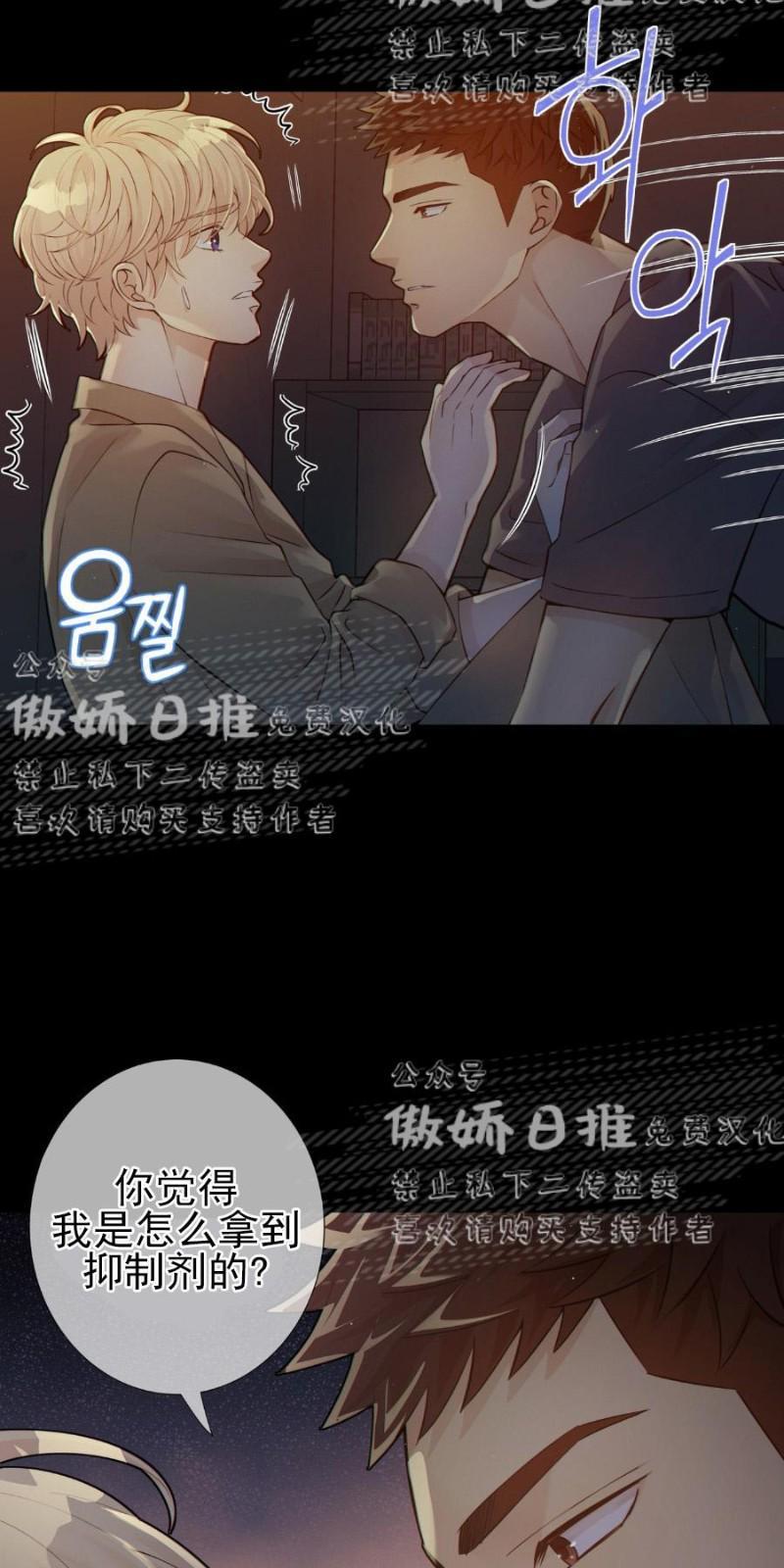 狼和狗的时间[耽美]韩漫全集-第5话无删减无遮挡章节图片 