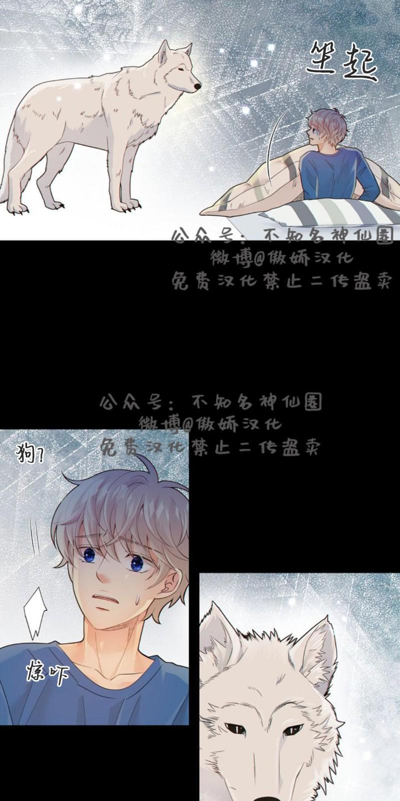 狼和狗的时间[耽美]韩漫全集-第23话无删减无遮挡章节图片 