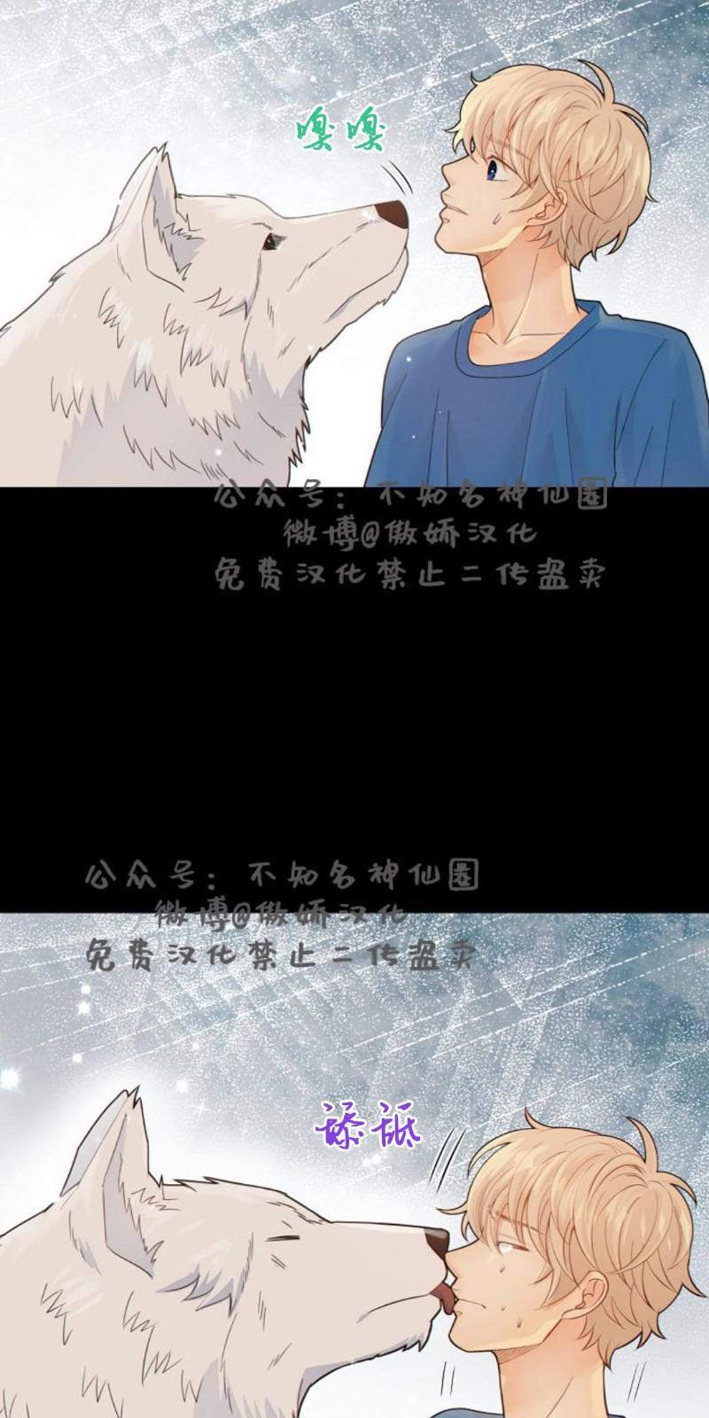狼和狗的时间[耽美]韩漫全集-第23话无删减无遮挡章节图片 