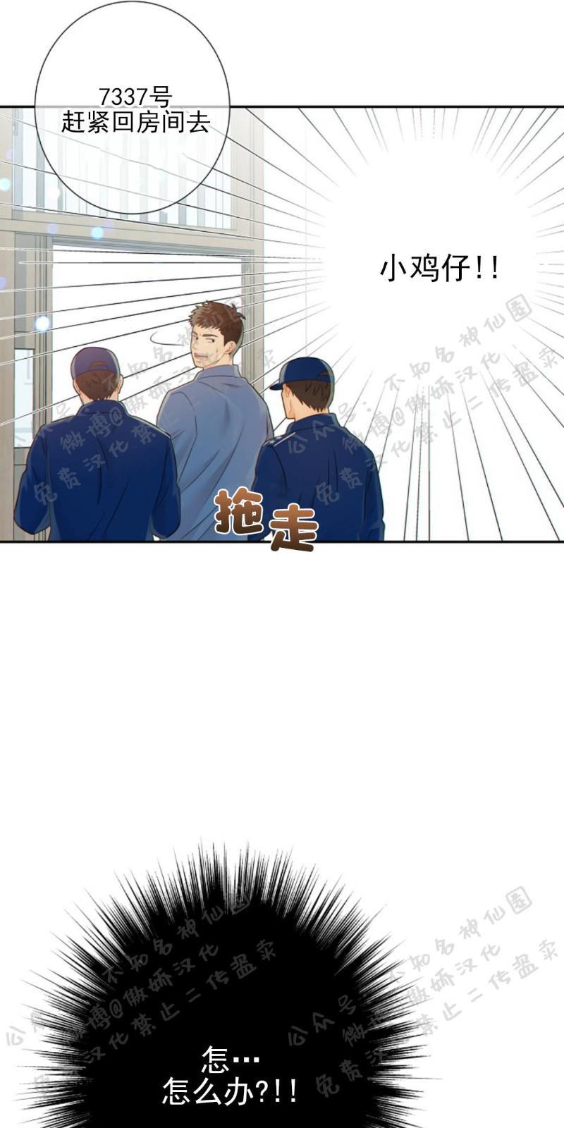 狼和狗的时间[耽美]韩漫全集-第27话无删减无遮挡章节图片 