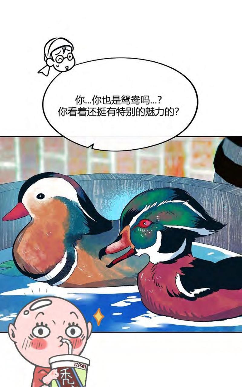 修罗的恋人[耽美]韩漫全集-第14话无删减无遮挡章节图片 