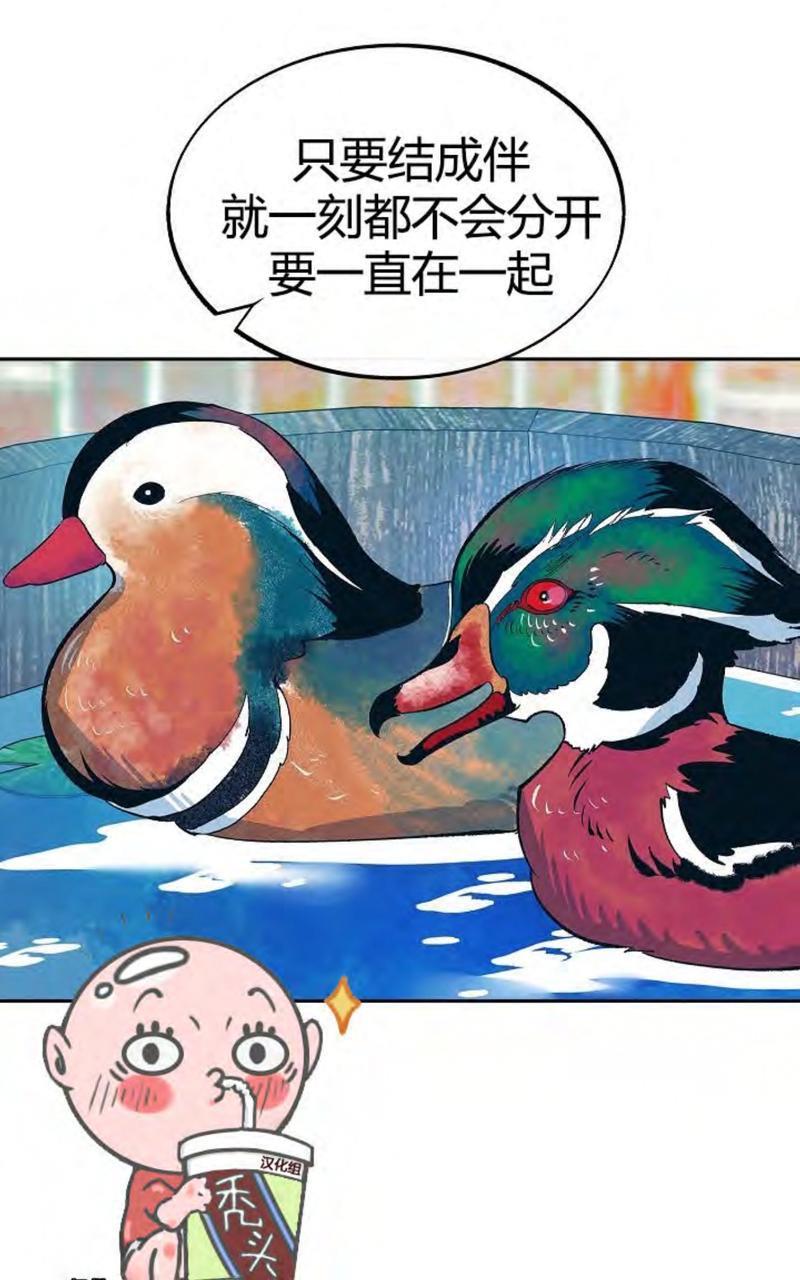 修罗的恋人[耽美]韩漫全集-第14话无删减无遮挡章节图片 