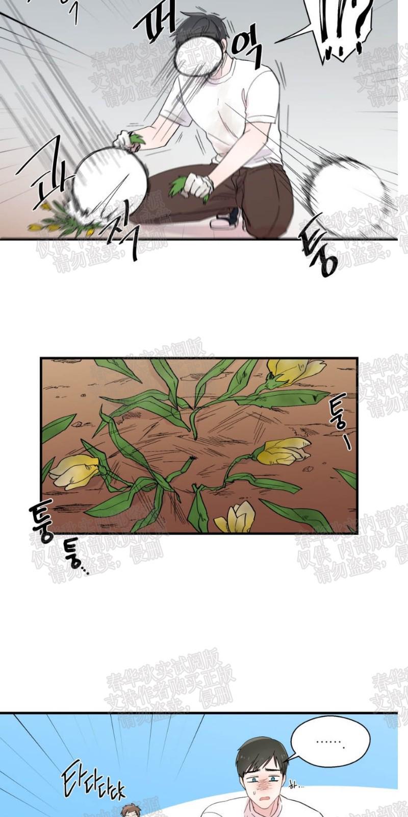 正直的变态[耽美]韩漫全集-第11话无删减无遮挡章节图片 