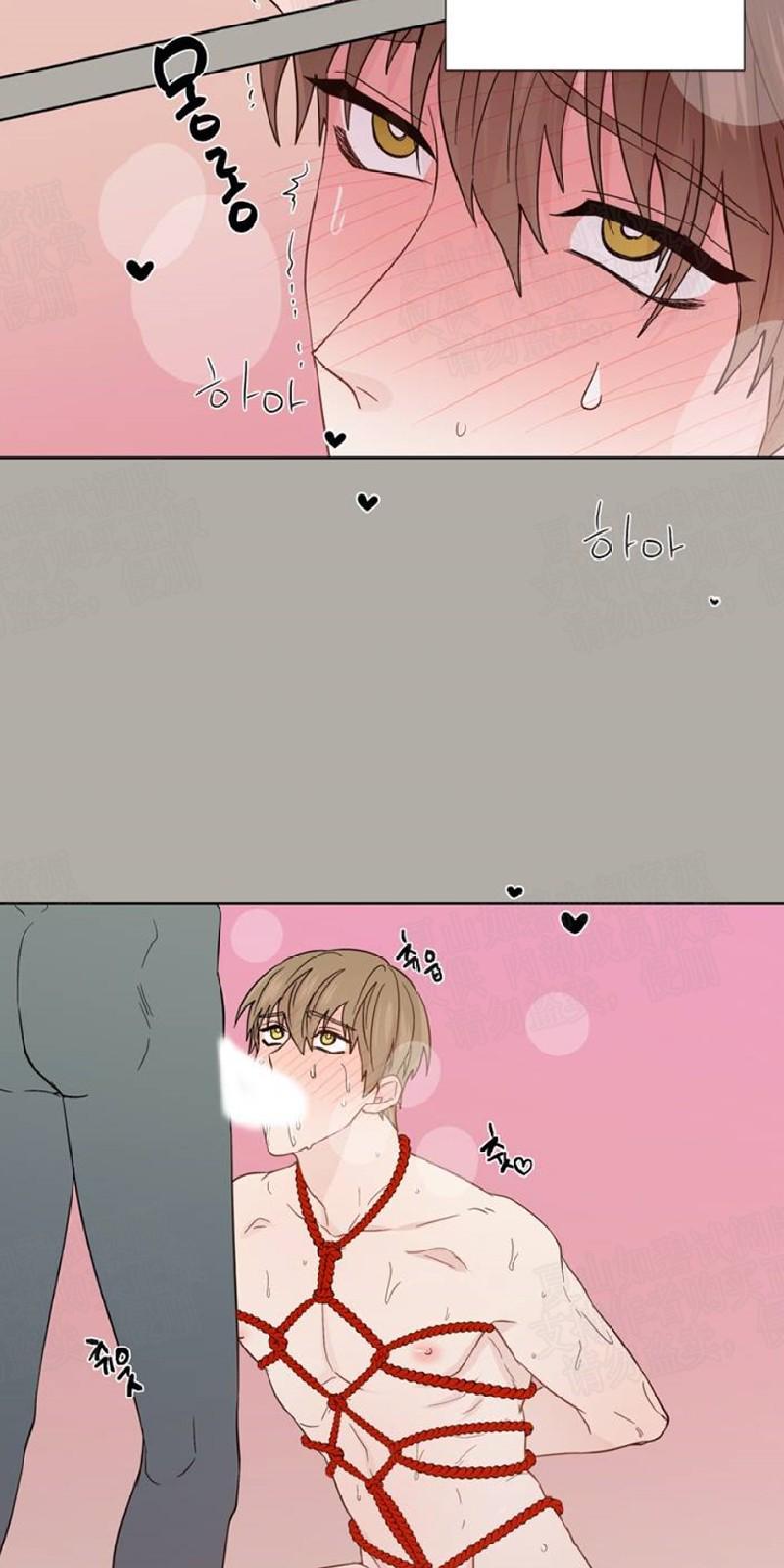 正直的变态[耽美]韩漫全集-第83话无删减无遮挡章节图片 