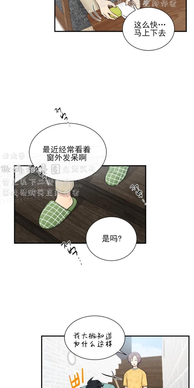 我的X报告[耽美]韩漫全集-第52话无删减无遮挡章节图片 